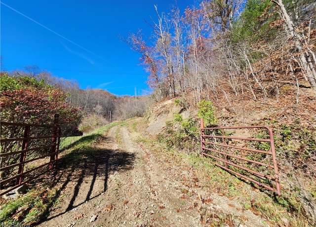 Property at 45.64 Sf., Big Cr., Trace; Fk, WV 25529