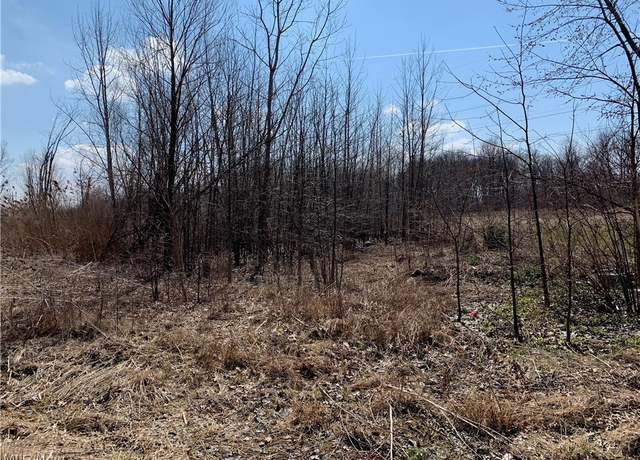 Property at Pearl Ave, Lorain, OH 44055
