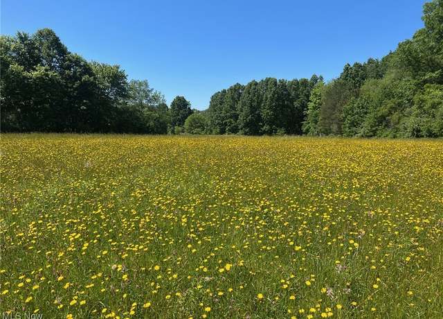 Property at Tallmadge Rd, Rootstown, OH 44272