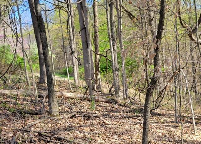 Property at 54780 Opossum Run Rd Unit 17,259,260, Senecaville, OH 43780