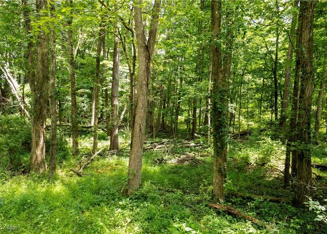 Property at Township Road 1151 Rd, Nova, OH 44859