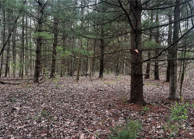 Property at Netcher Rd, Jefferson, OH 44047