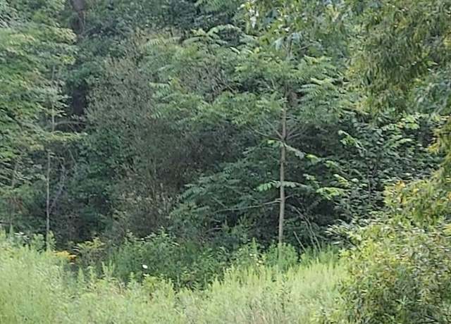 Property at V/L Lundys Ln, Lake Milton, OH 44429