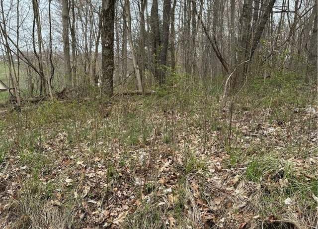 Property at 41314 Helen Gregg Rd, Bethesda, OH 43719