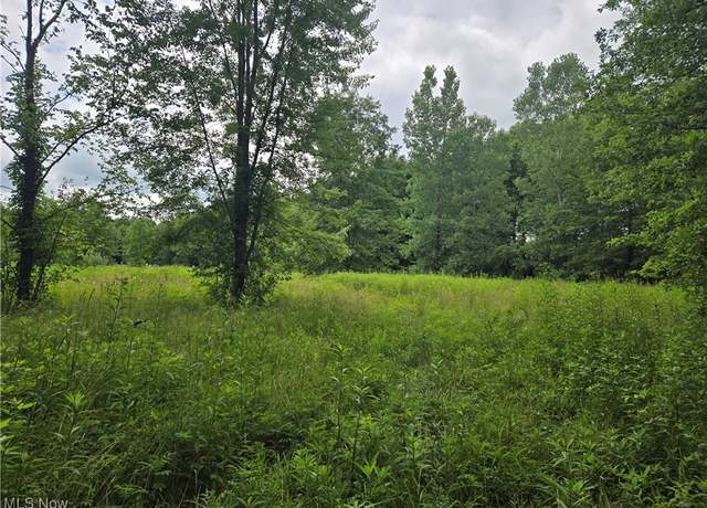 Property at VL Parsons Rd, Grafton, OH 44044