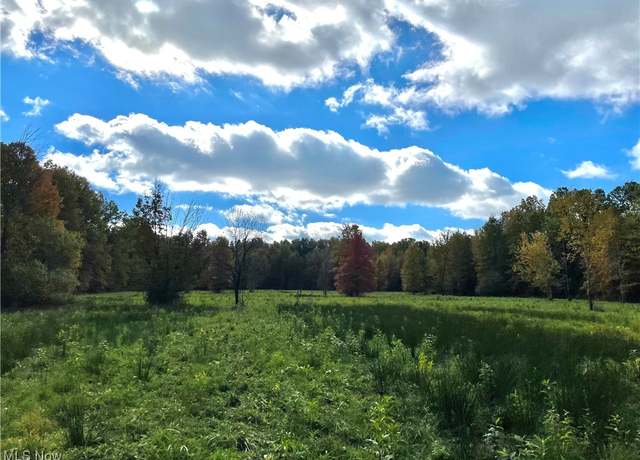 Property at VL Parsons Rd, Grafton, OH 44044