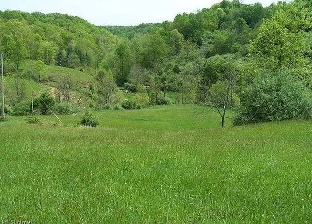 Property at Scaffold Run, Spencer, WV 25276
