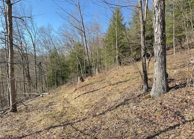 Property at N County Road 22 A St, Bloomingdale, OH 43910