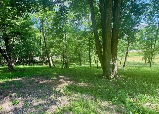 Property at Lot 1 Mitchell Hill Dr, Dresden, OH 43821