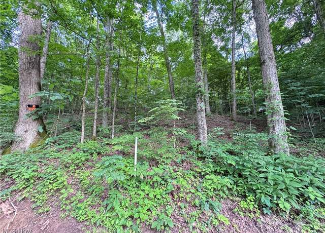 Property at 50530 Wargo Rd, Caldwell, OH 43724