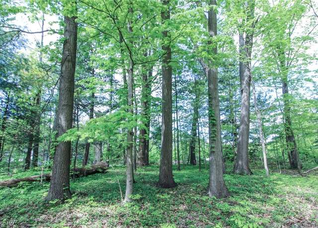 Property at 0 Norton Rd, Hudson, OH 44236
