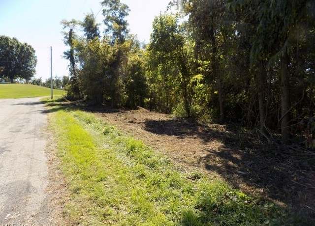 Property at 0 Maple Dr, Bridgeport, OH 43912