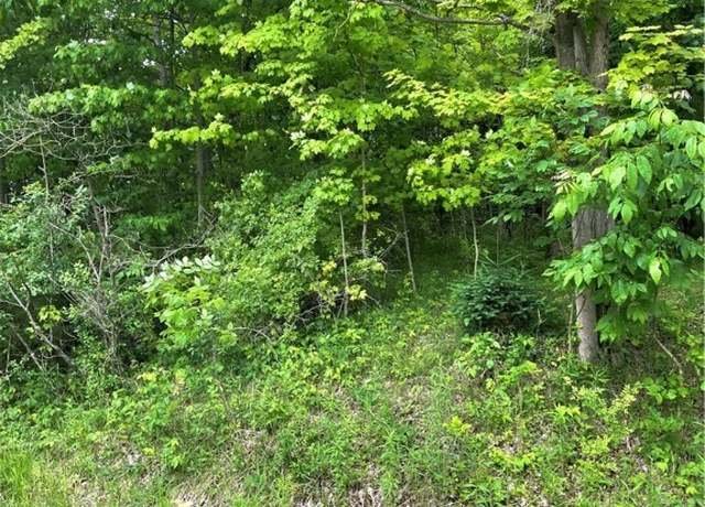 Property at 333 River Rd, Hinckley, OH 44233