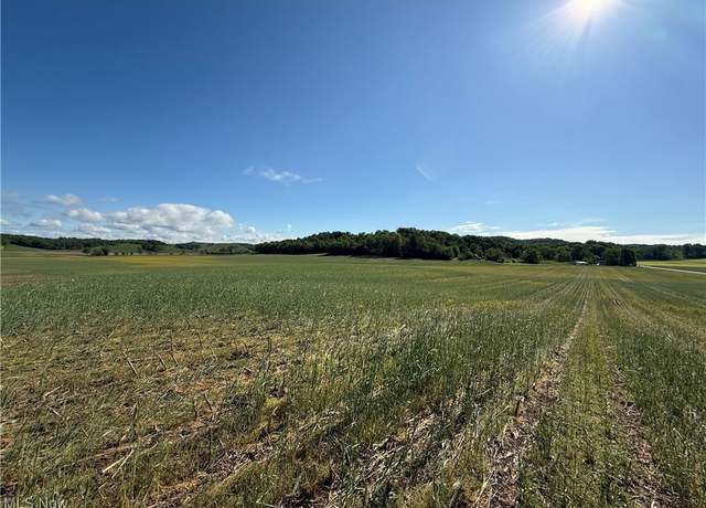 Property at Township Road 154, West Lafayette, OH 43845