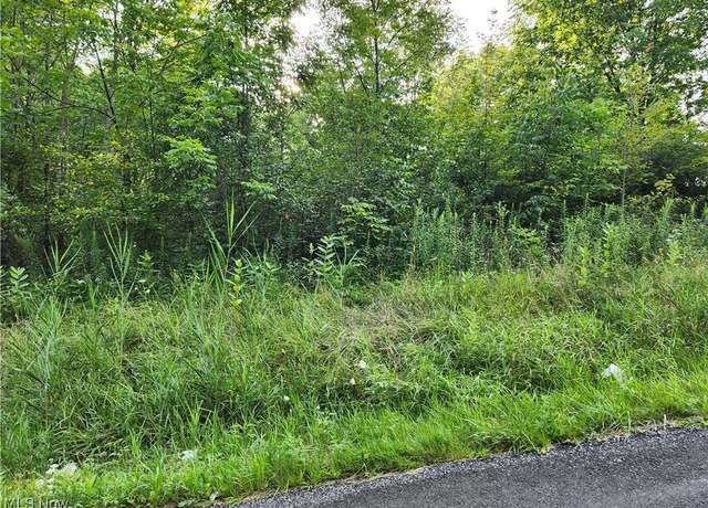 Property at County Line Rd, Lake Milton, OH 44429