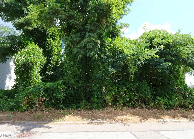 Property at 128 Butte St, Steubenville, OH 43952