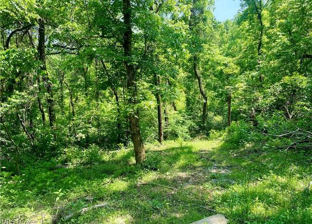 Photo of Valley Rd, Caldwell, OH 43724