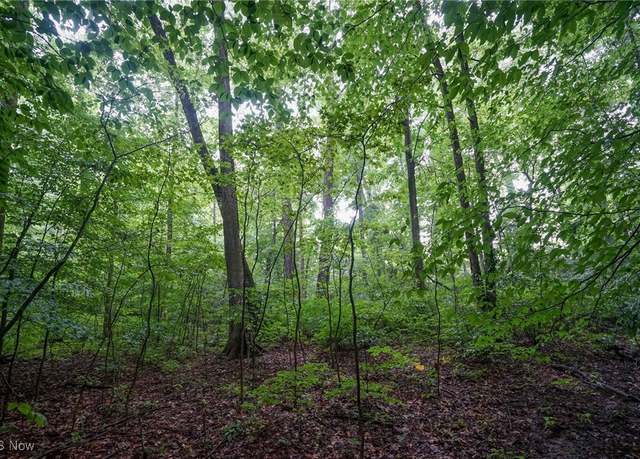 Property at Duncanson Rd, Hillsboro, OH 45172