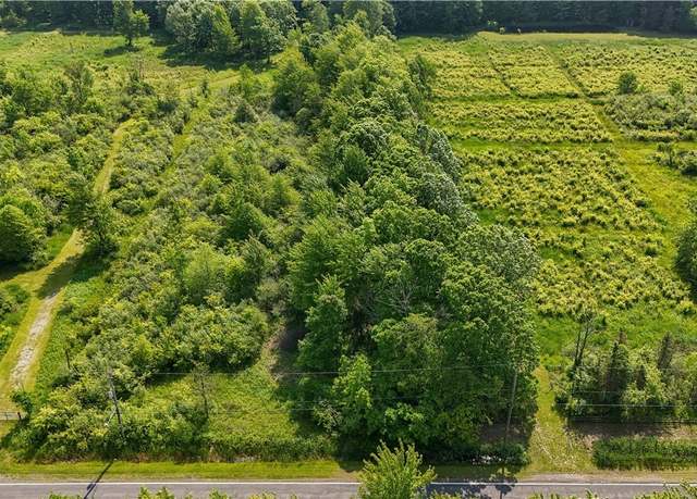 Property at Brakeman Rd, Painesville, OH 44077