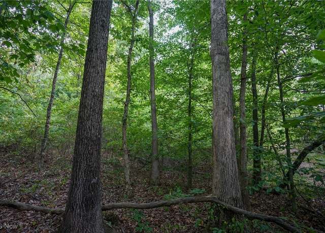 Property at Cannelville Rd, Roseville, OH 43777