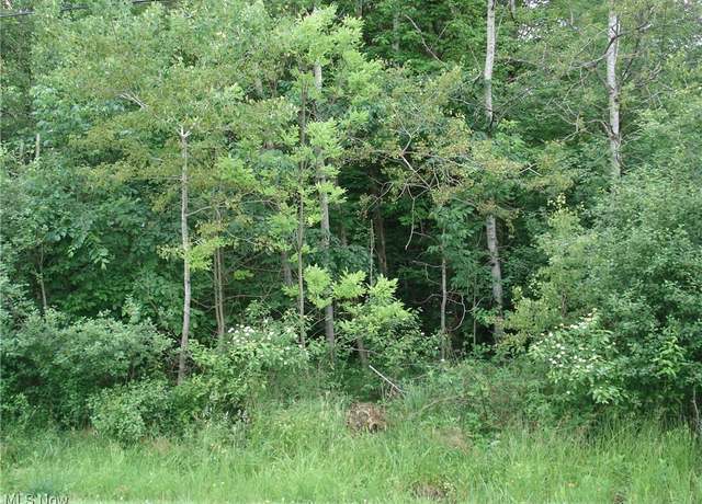 Property at 315 Morgan Ter, Roaming Shores, OH 44084