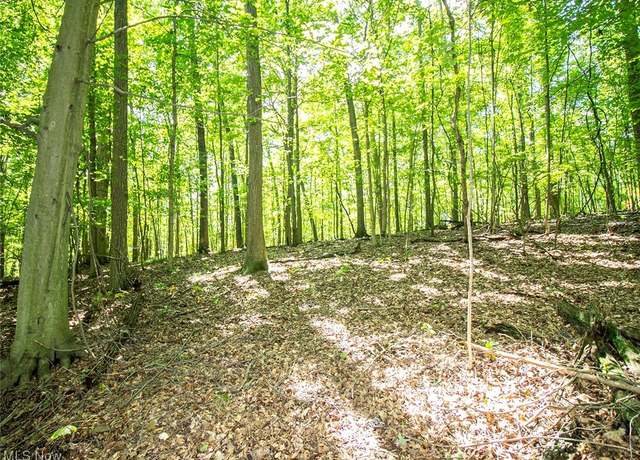 Property at Mishey Rd, Bellville, OH 44813