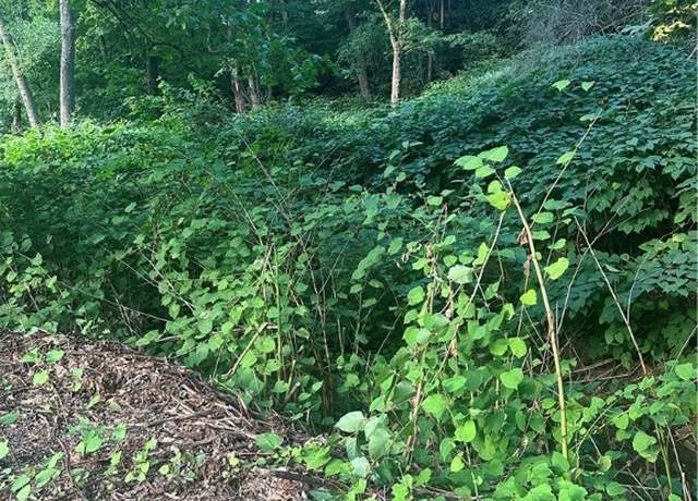 Property at Maxwell Ave, Chester, WV 26034
