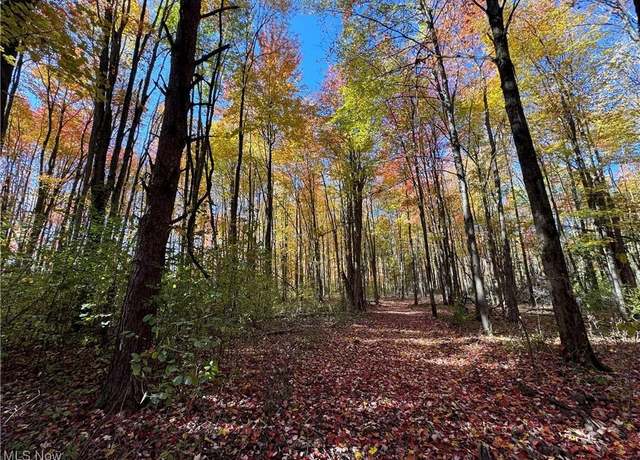 Property at 12056 Old State Rd, Chardon, OH 44024