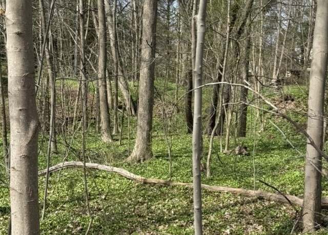 Property at 17 Chillicothe Rd, Chagrin Falls, OH 44023