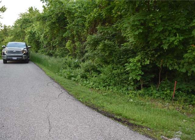 Property at 0 Riggs Rd, Bellaire, OH 43906