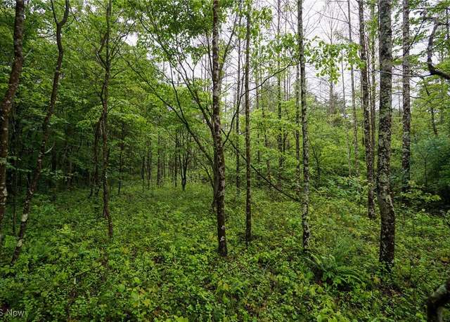 Property at Township Rd 460, Woodsfield, OH 43793