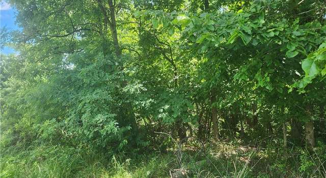 Photo of 0 Shaver Rd, Blue Rock, OH 43720