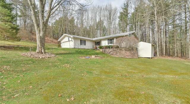 Photo of 47358 Chippewa, Negley, OH 44441