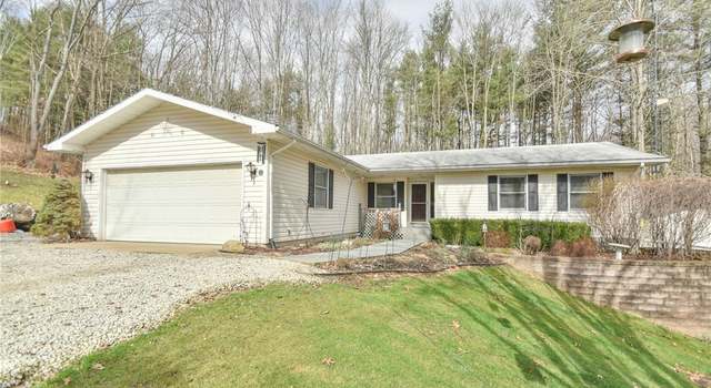 Photo of 47358 Chippewa, Negley, OH 44441
