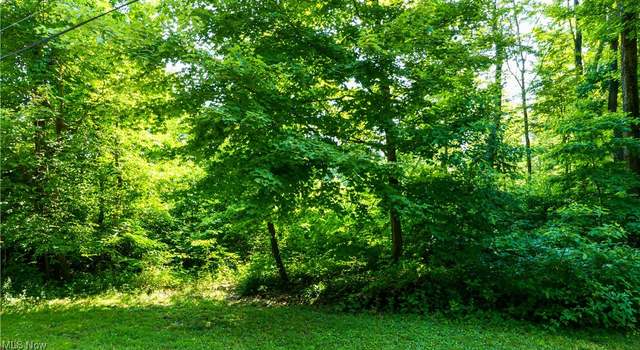 Photo of V/l Fenstermaker Rd, Garrettsville, OH 44231