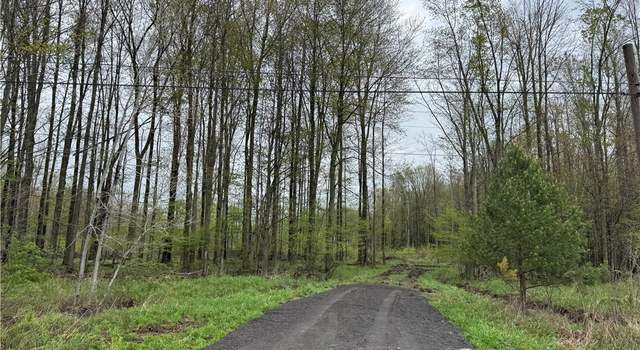 Photo of VL Footville Richmond Rd, Dorset, OH 44032