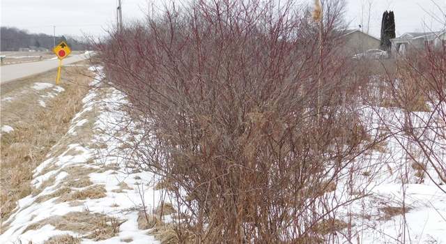 Photo of Tische Rd, Rock Creek, OH 44084