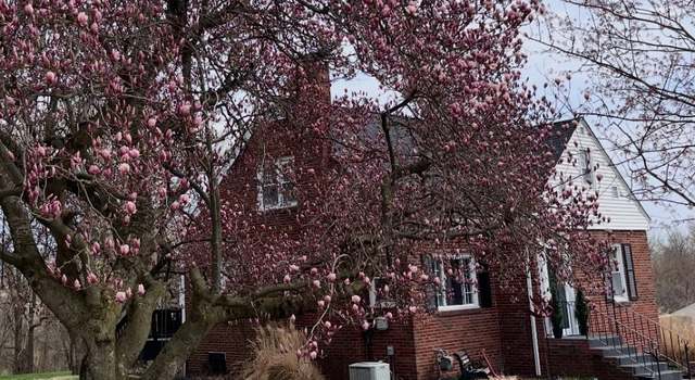 Photo of 130 Wood St, Flushing, OH 43977