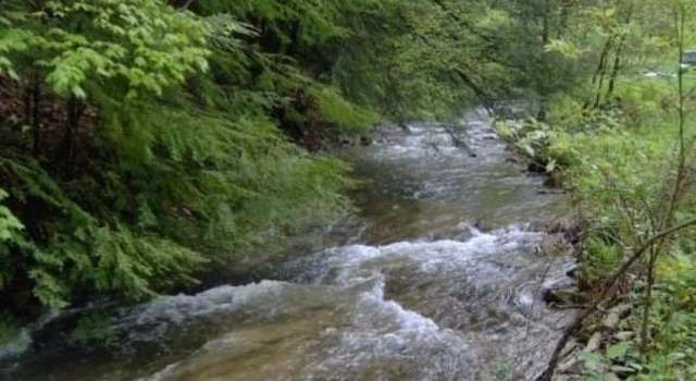 Photo of 1004 Camp Scott Rd, Sutton, WV 26601
