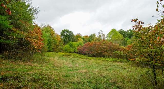Photo of Boy Scout Camp Rd, Noble Township, OH 43724