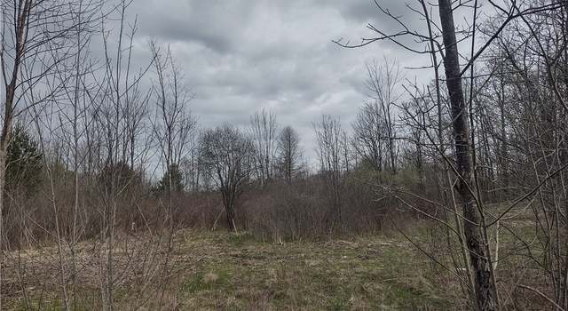 Photo of 17222 Reynolds Rd, West Farmington, OH 44491