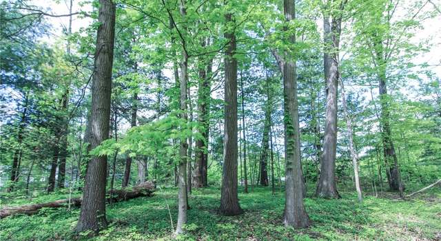 Photo of 0 Norton Rd, Hudson, OH 44236