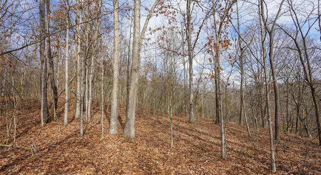 Photo of Jackson Fork Rd, Bloom Township, OH 45682