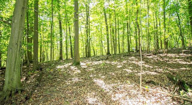 Photo of Mishey Rd, Bellville, OH 44813