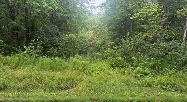 Photo of Mahan Denman Rd NE, Bristolville, OH 44402
