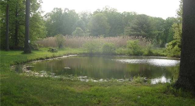 Photo of N Pricetown Rd, Diamond, OH 44412