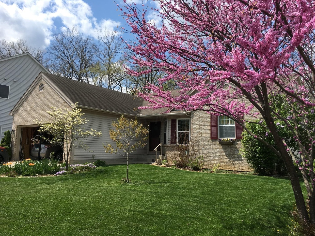 159 Leasure Dr, Pickerington, OH 43147