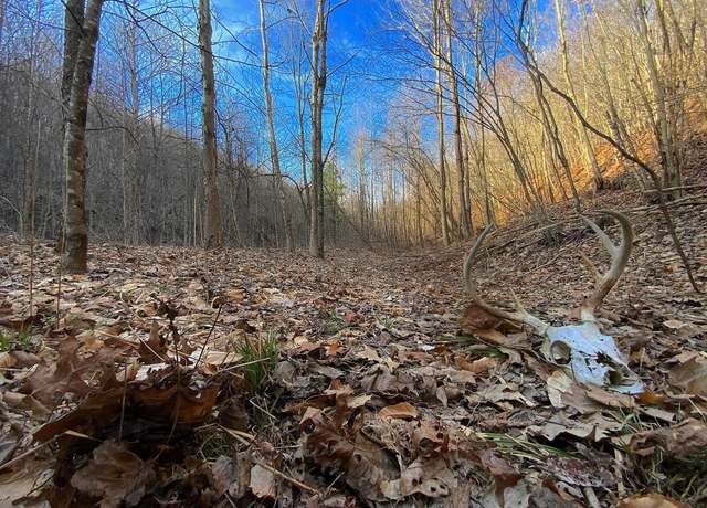 Property at 0 Kelly Rd, Ray, OH 45672