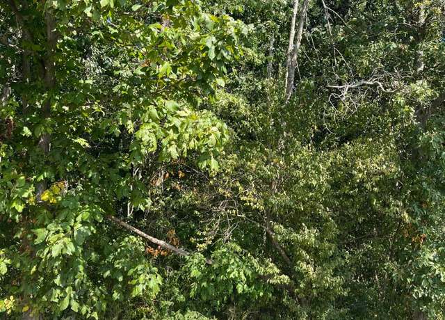 Property at 0 Morris Leist Rd Lot 2, Stoutsville, OH 43154