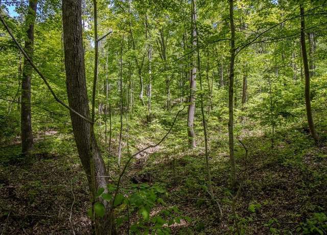 Property at 0 Kinzer Rd, Bainbridge, OH 45612